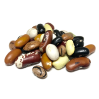 Bean Medley Dry Beans | Shady Side Farm Holland Grand Rapids Michigan | Local Organic