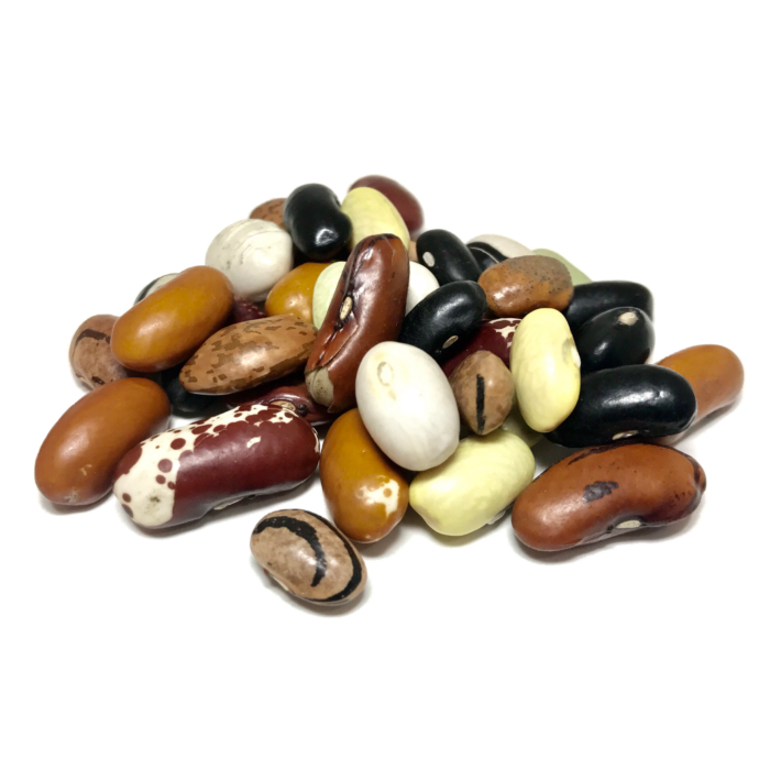 Bean Medley Dry Beans | Shady Side Farm Holland Grand Rapids Michigan | Local Organic