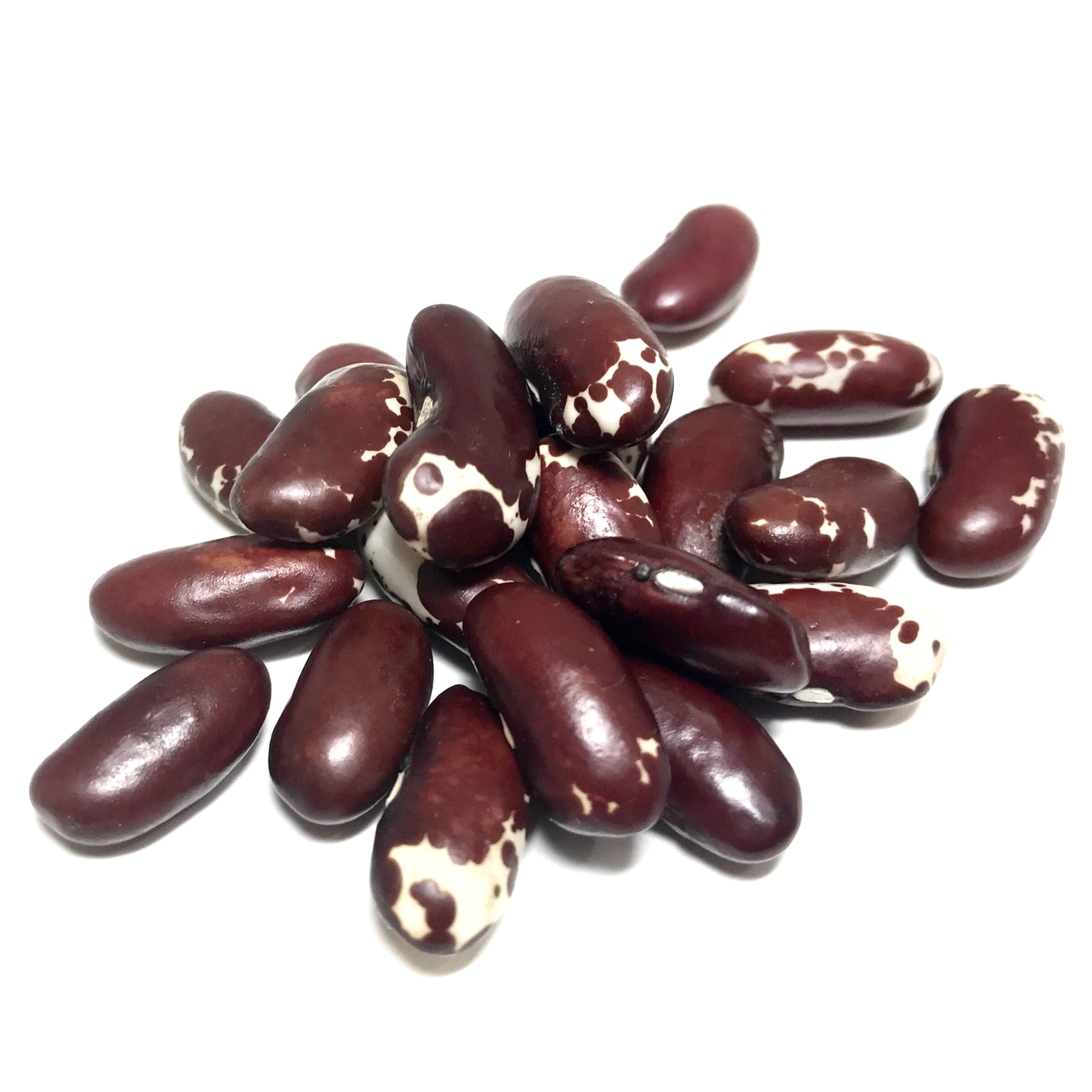 Jacob's Cattle Heirloom Dry Beans
