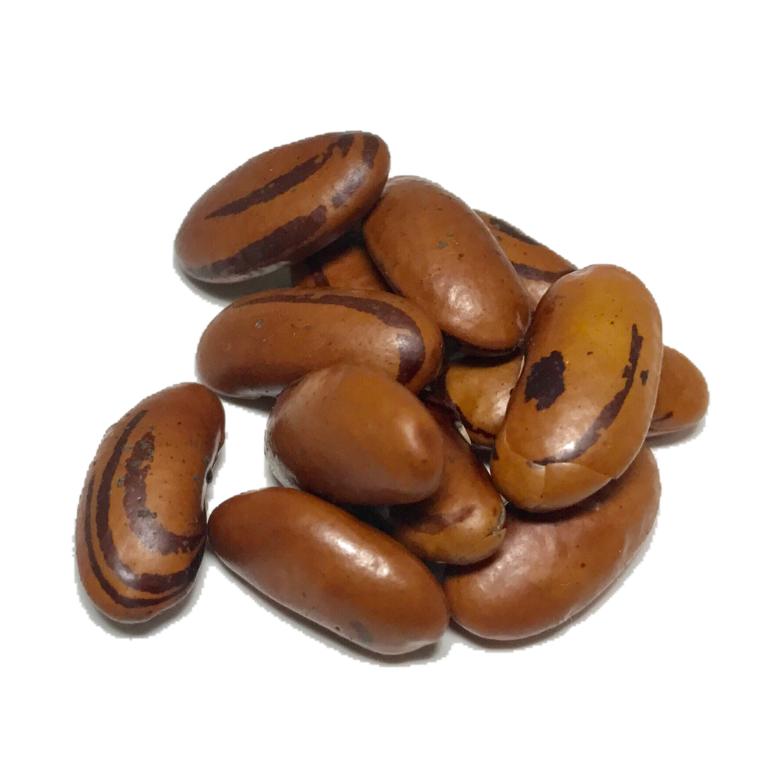 Tiger Eye Heirloom Dry Beans