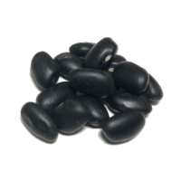 Black Turtle Dry Beans