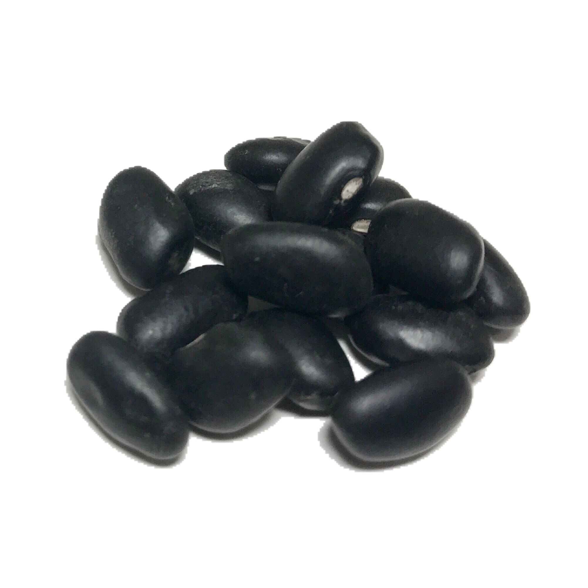 Black Turtle Dry Beans