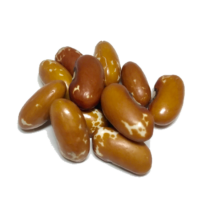 Jacob's Cattle Gold Heirloom Dry Beans