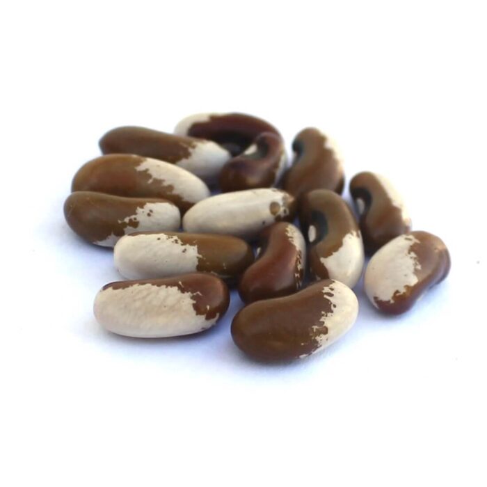 Painted Pony Certified Organic Heirloom Dry Beans