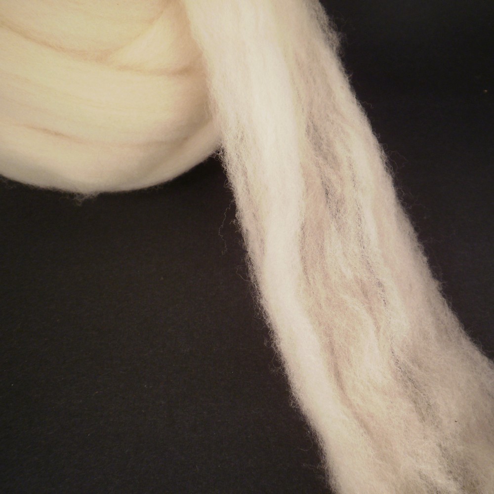 Polypay Wool Combed Top -- Soft Lambswool -- Undyed -- 4 oz.
