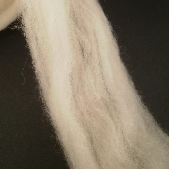 Polypay Wool Combed Top -- Soft Lambswool -- Undyed -- 4 oz.