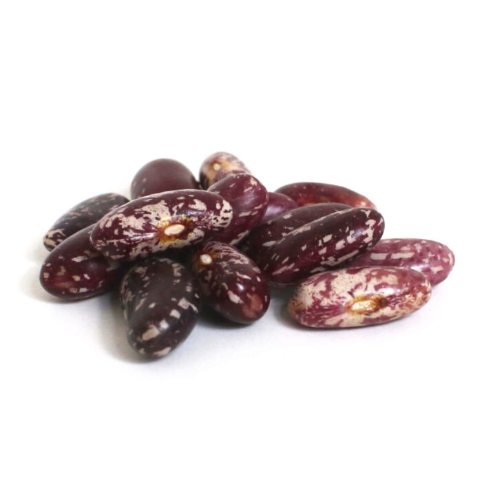 Spanish Tolosana Certified Organic Heirloom Beans | Shady Side Farm Holland Grand Rapids Michigan | Local Organic