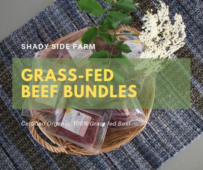 Ground Beef Bundle (Local Sales Only)