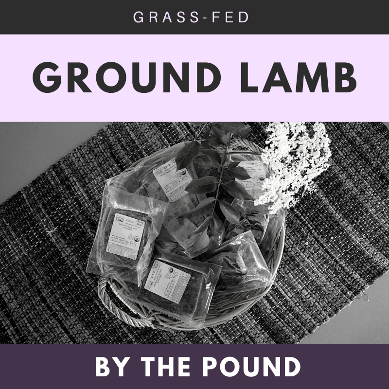 Ground Lamb | Grass-fed Lamb | Shady Side Farm