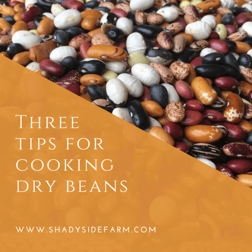 3 Tips Cooking Beans | Shady Side Farm