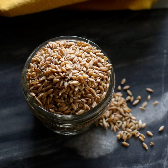 Einkorn berries from shady side farm