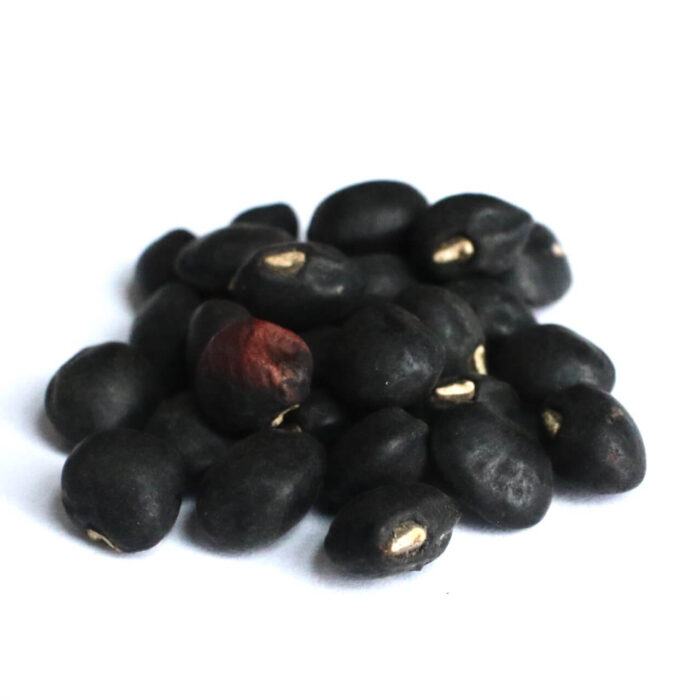 rouge et noir cowpea from shady side farm