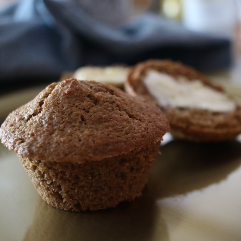 Einkorn Bran | Organic Heirloom | Shady Side Farm Holland Grand Rapids Michigan | Local