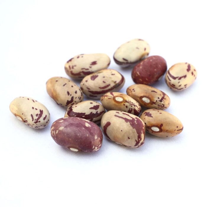 Lina Cisco's Bird Egg Certified Organic Heirloom Dry Beans