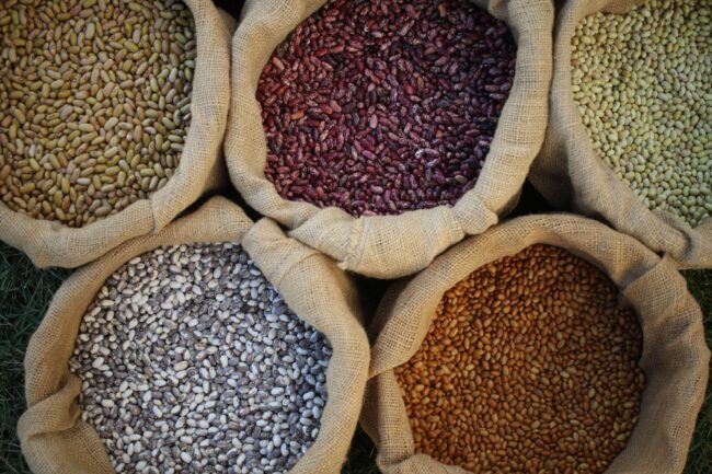 Heirloom Beans Heirloom Beans | Shady Side Farm | Organic Heirloom Beans